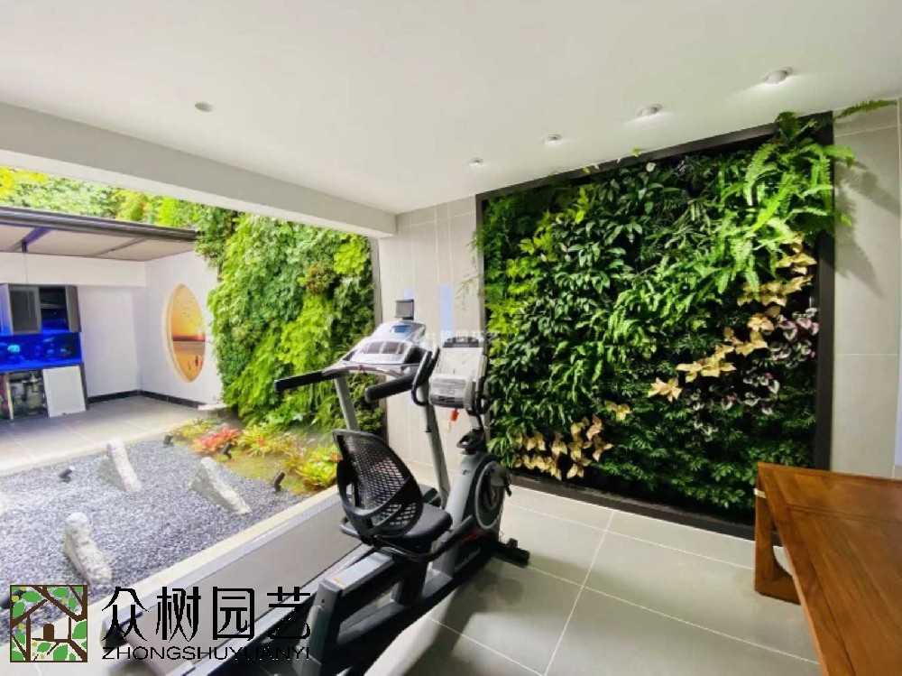 蘇州綠植租賃新風(fēng)尚：打造辦公室綠色生態(tài)，讓工作更舒心！