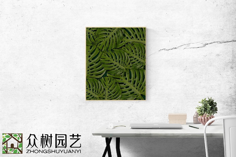 蘇州綠植租擺哪家好？揭秘城市綠林的優(yōu)選選擇