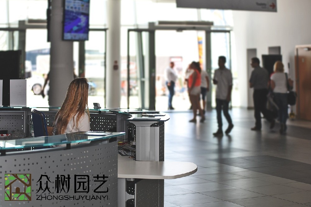 蘇州學(xué)校綠植租擺企業(yè): 貫穿環(huán)保、健康與美學(xué)的教育新理念