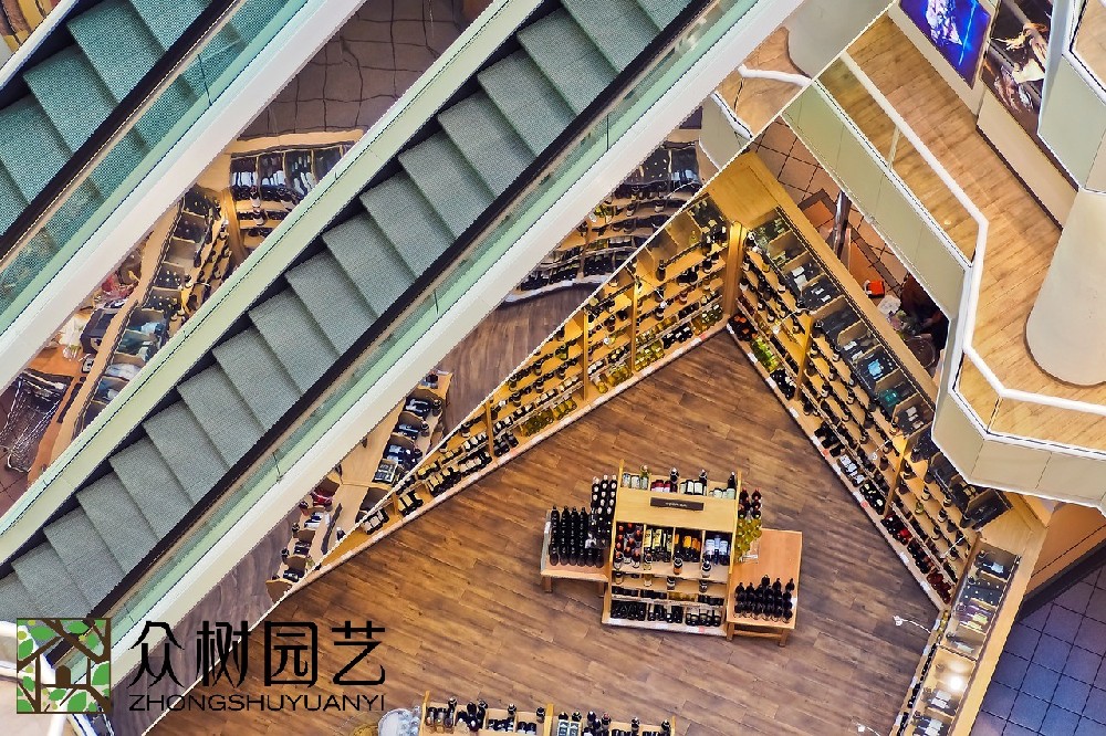 蘇州商場綠植租擺廠商：綠色美學(xué)的革命者，商場美學(xué)改變者